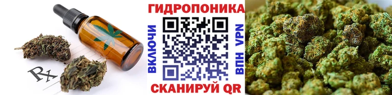 Cannafood конопля  KRAKEN маркетплейс  Грайворон  магазин   