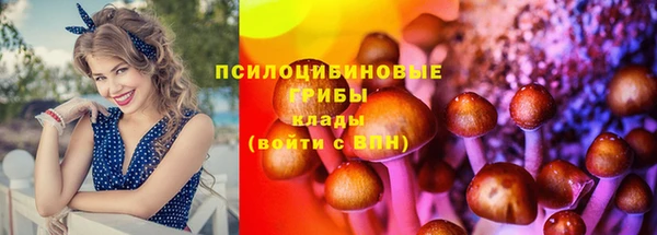 твердый Алзамай